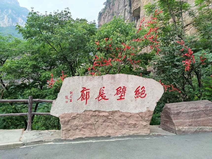ɽڳ.jpg